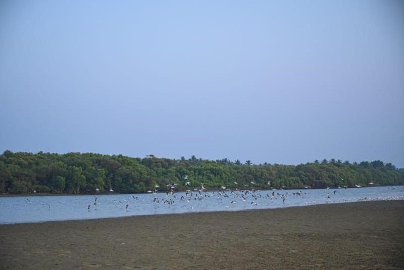 Reunion Ocean Tides Hotell Udupi Exteriör bild